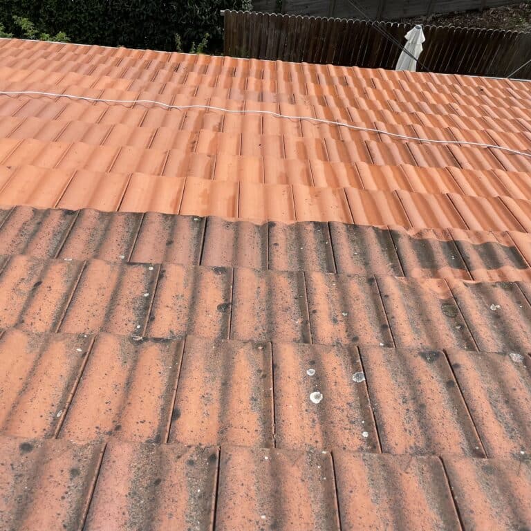 Nettoyage et entretient toiture Lausanne